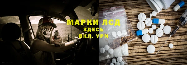 индика Алзамай