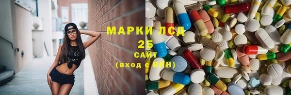 индика Алзамай