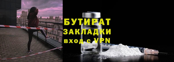 индика Алзамай