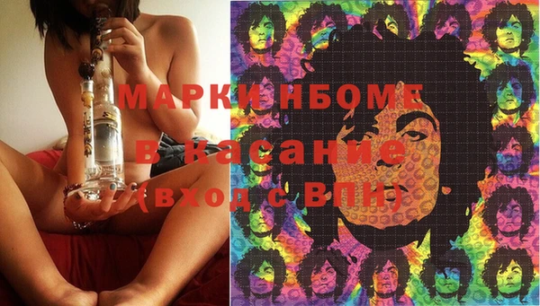 индика Алзамай