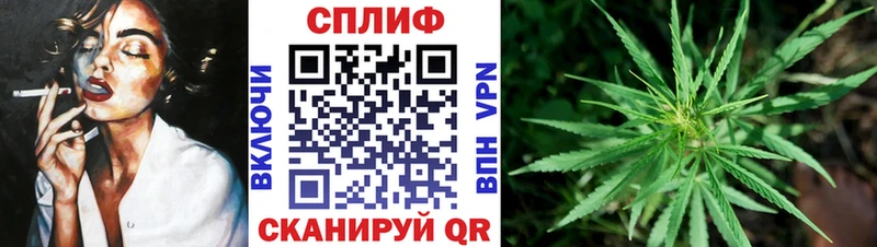 Бошки Шишки ГИДРОПОН Малоархангельск
